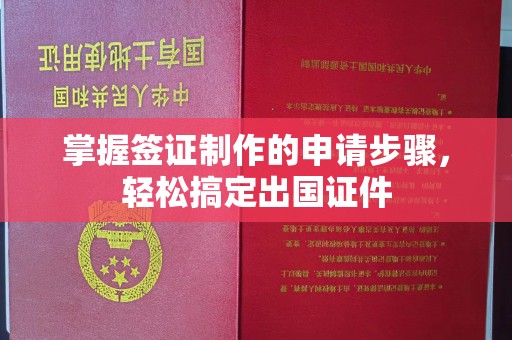 杉林掌握签证制作的申请步骤，轻松搞定出国证件