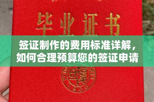 杉林签证制作的费用标准详解，如何合理预算您的签证申请成本