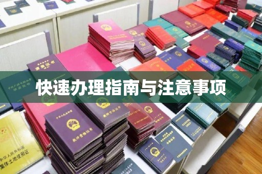 杉林快速办理指南与注意事项